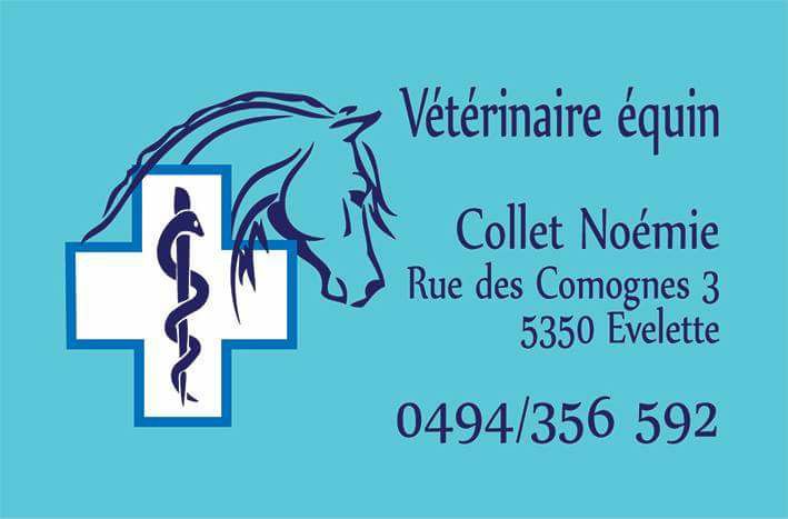 Noemie Collet : Vétérinaire équin généraliste et ostéopathe 